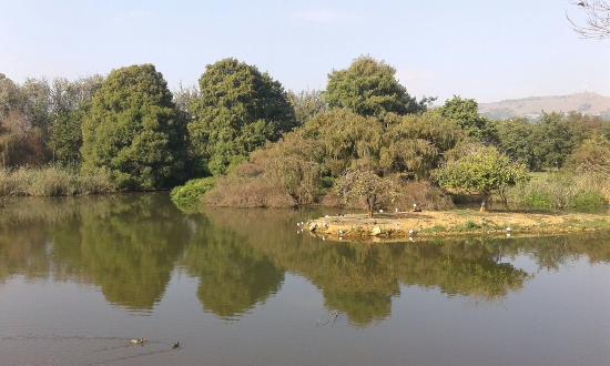 Austin Roberts Bird Sanctuary